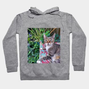 Lenny the cat Hoodie